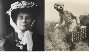 Alice Eastwood, Botany’s Unsung Hero And Her Great Legacy