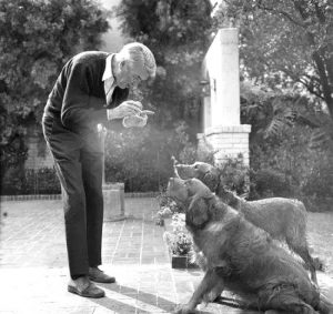 Legendary Actor James Stewart With A Deep Love For His Dog Beau