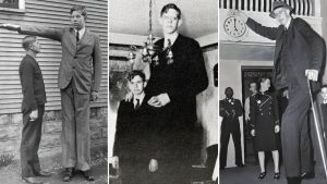 Robert Wadlow, The Tallest Person To Ever Live In History, Nearly 9 ft In Height