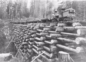 Timber Trestles: The Majestic Wooden Giants That Shaped North America’s Railroads