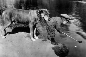 30+ Vintage Photos Of People And Cherished Pets From Days Gone By That Make You Go ‘Awww’